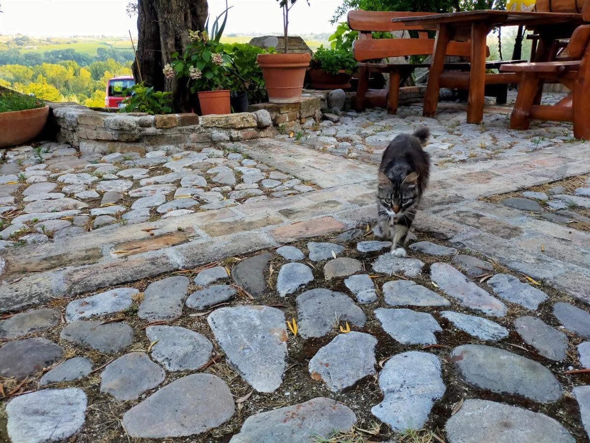 Casale Del Sole Bed & Breakfast Cepagatti Exterior photo
